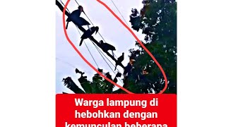 Download lagu MISTERI RANGKONG LAMPUNG : PENJELASAN by : (notebooklm) @5MENITINFORMASI  mp3