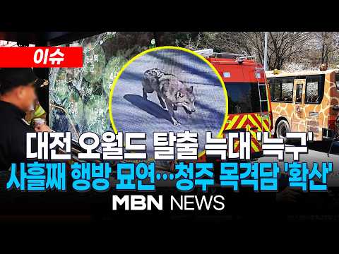 MBN 청주 목격담 확산 보도