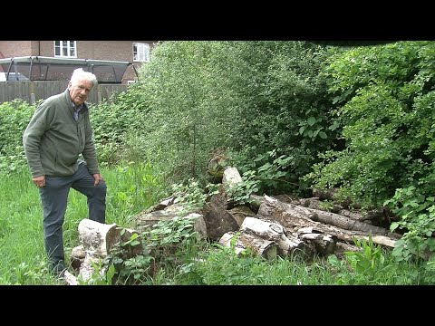 Sensory Walk at Grange Farm Centre, Chigwell, Essex