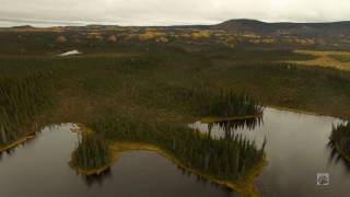 Alaska Aerial 4K