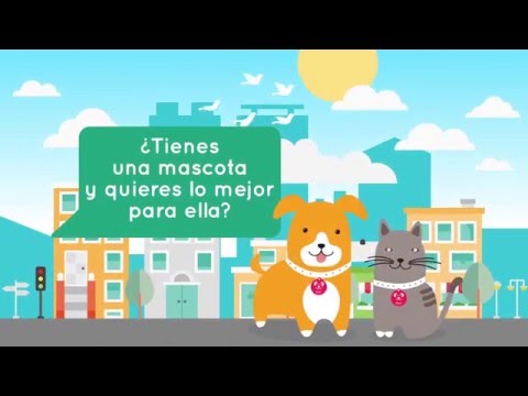 Pluv - Your pet your world