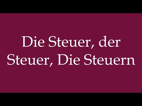 How to Pronounce ''Die Steuer, der Steuer, Die Steuern'' Correctly in German