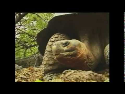 Unlocking the Mystery of Life