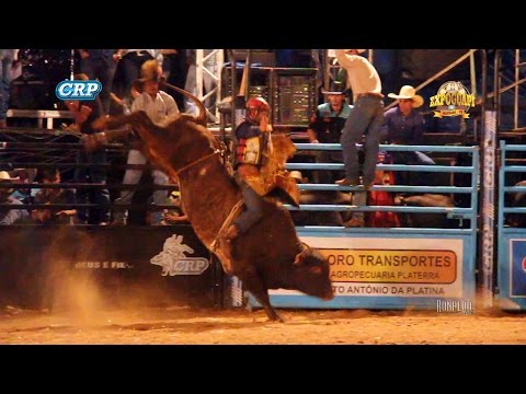 Rodeio de Guapirama 2017 - MELHOR TOURO / ASTERÓIDE