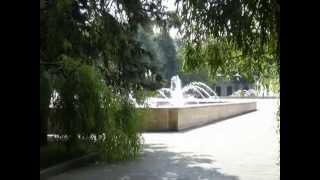 CHISINAU ( MOLDOVA )