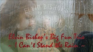 Elvin Bishop’s Big Fun Trio - I Can't Stand the Rain