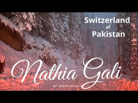 Nathiagali Snowfall 2021| Snowfall in Pakistan | Nathia Gali | 4K Pakistan
