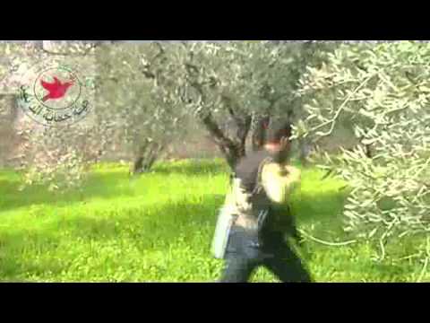 توجه عناصر لواء ذئاب الغاب ولواء رياح الشمال لضرب قوات النظام في قرية اليعقوبية في ريف جسر الشغور الشمالي