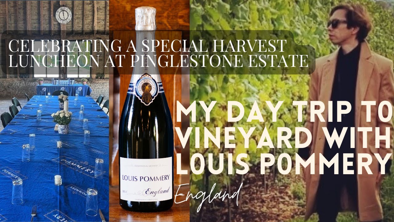 A DAY TRIP TO VINEYARD WITH LOUIS POMMERY