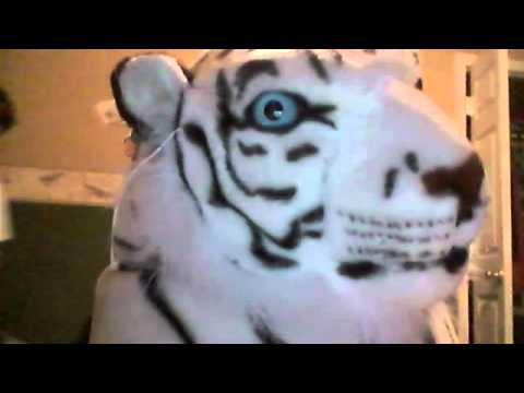 Tiger makes a freaky noise! #Team Genesect