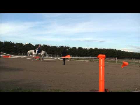 Mandams Billionaire aka Billy Part 1 Vaulting