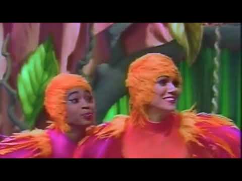 Dj Topo,Mc Cyclope,Mc PR - Passarinho (Que som é esse) TIK TOK Light Edit Dj Jr da Ilha DVJ EVER