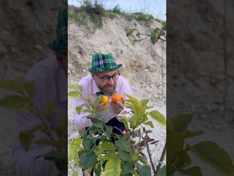 عمو محمود كان بدو يأكل ./ماريا الحاج