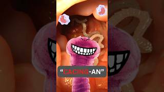 Download lagu Worms Live in the Human Intestine? Understanding Taeniasis Tapeworm Infection #Shorts mp3
