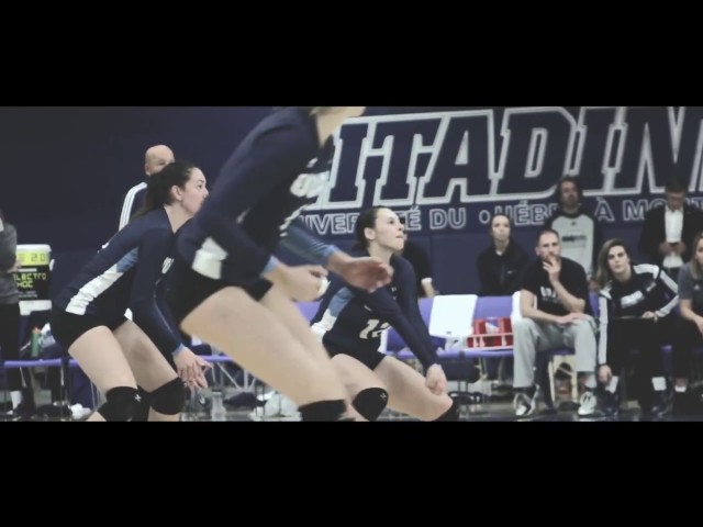 UQAM Citadins Volleyball saison 2016-2017