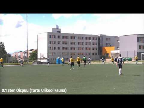2012-06-17 JK Welco Elekter II - Tartu Ülikool Fauna 1:3 (0:1)