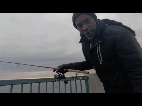 Herring Fishing Expedition (01/17/2026)