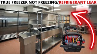 HVACR Service Call: TRUE Freezer Not Freezing, Commercial Freezer Not Cooling, Refrigerant Leak Repair