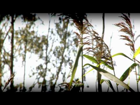Video thumbnail for Piosnka litewska