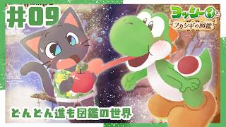 【ゲーム】どこまで続く？フカシギの世界！ヨッシーと一緒にGOGO！【ヨッシーとフカシギの図鑑】#09 ★2026802