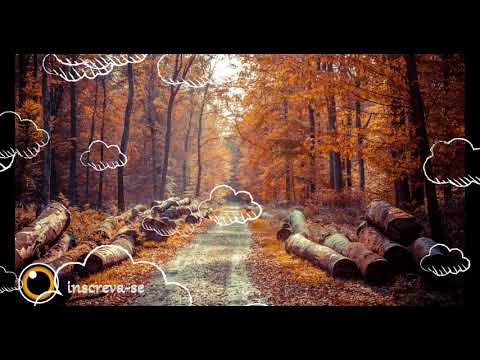 JØRD vs. WhoMadeWho - Heads Above