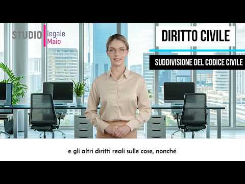 Suddivisione del codice civile