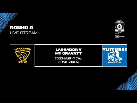 LIVE TPIL Lawyers QAFL ROUND 9 - Labrador v Mt Gravatt