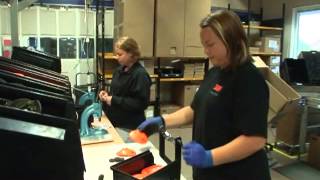 Peltor Sport-Tac Ear Defenders