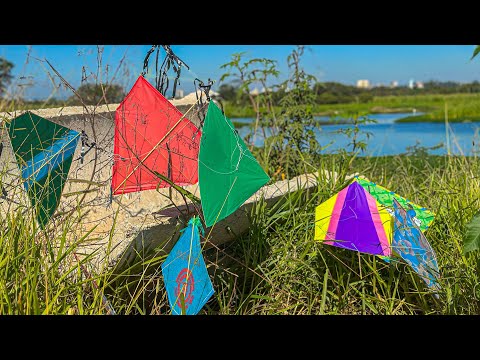 THE PLACE WHERE THE MOST KITE FALLS IN THE WORLD! I Caught 7 Kites in 20 Minutes!