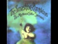 Smashing Pumpkins - The Mellon Collie Demos ...