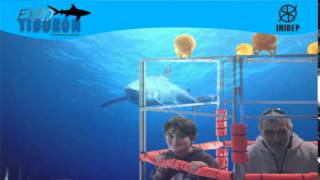 DIA 3 Expo Tiburon89