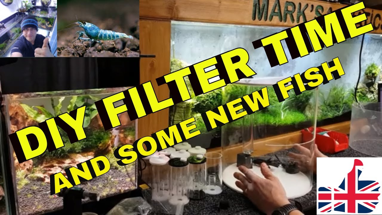 DIY ACRYLIC PALUDARIUM PART 2