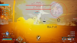 伝説二体目ベイントール捕まえようとしたら相方がどっかに飛んでった【Palworld】#5