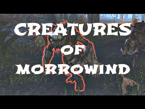 Creatures of Morrowind: Elder Scrolls Online (ESO) Machinima