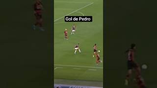 gol de Pedro fluminense 0x1 flamengo brasileirão 2026