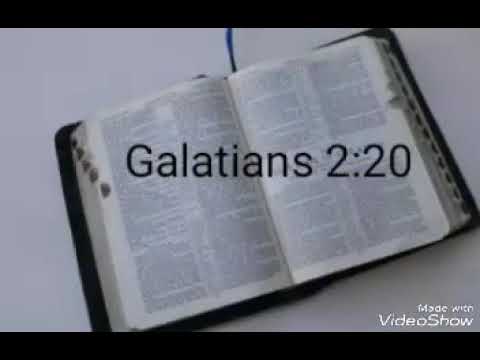 Galatians 2:20 (25 Minute Loop)