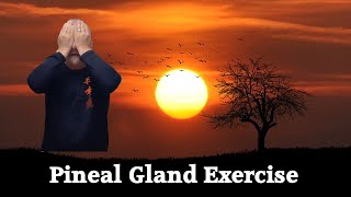 How To Stimulate Your Pineal Gland For Better Intuition, Vision and Natural Wisdom With Qi Gong