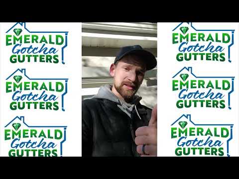 This Gutter Cleaning Took a Shocking Turn... You Won't Believe What We Found