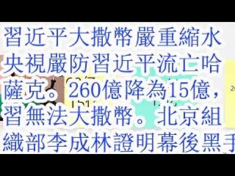 习近平大撒币严重缩水。央视严防习近平流亡哈萨克。260亿降为15亿，习无法大撒币。北京组织部长李成林的派系，证明幕后黑手就是他。