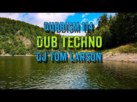 🌲DUBBISM 114 - DJ Tom Larson 2023 | Dub Techno Session🌲