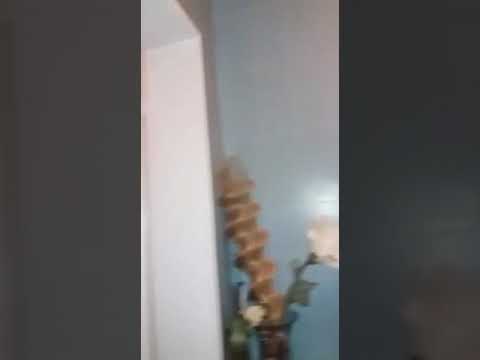 Care este numele lui Dumnezeu?