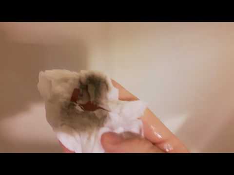 Baymont Inn & Suites Davenport, Iowa dirty shower