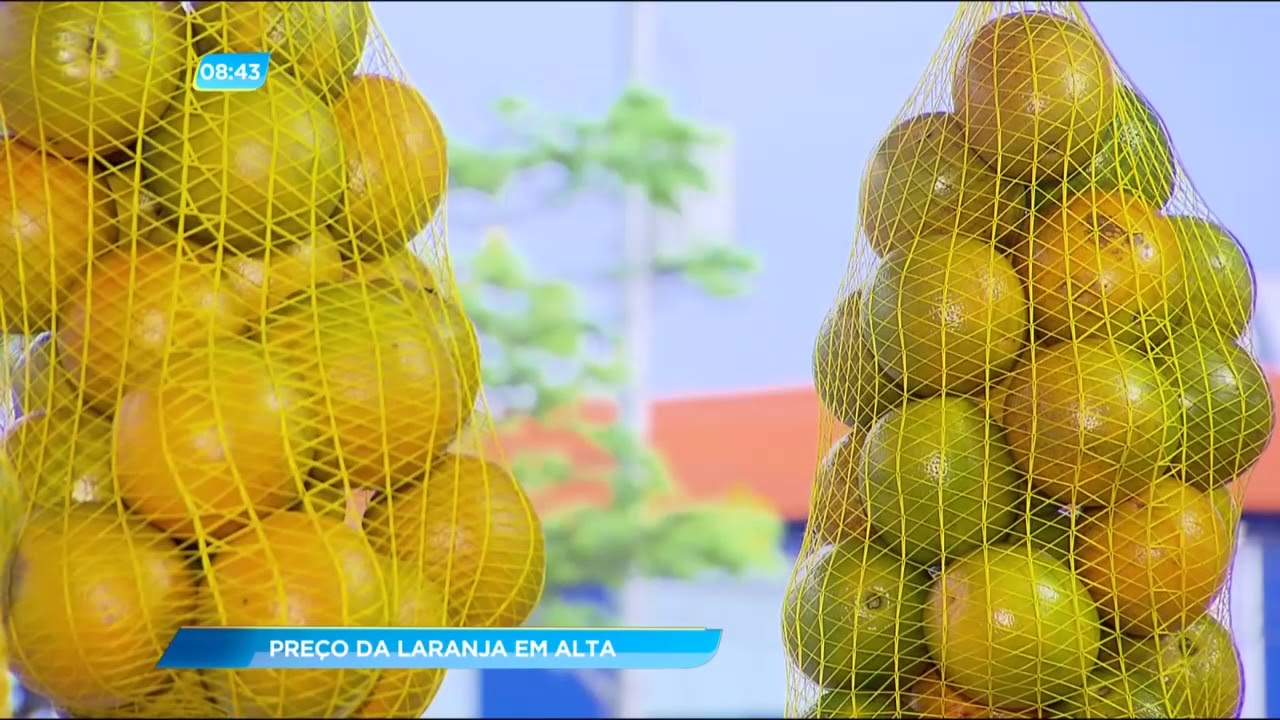 Watch Now GA - Preço da laranja em alta - 29-09-2017 GA - Preço da laranja em alta - 29-09-2017