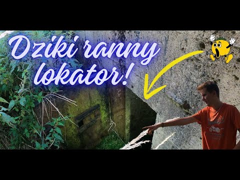 Ratujemy rannego gołębia ze schronu nr 104 w Dobieszowicach-Wesołej. #4k