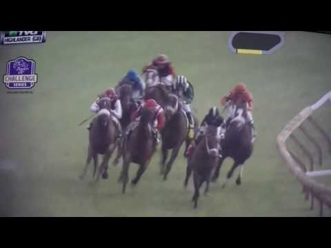 HIGHLANDER (G2 $250,000) STAKES 2017 - GREEN MASK !!!