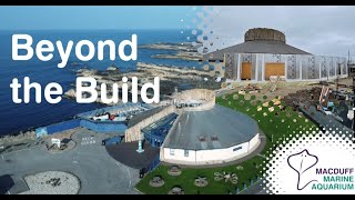 Shiver me timber...frames! - Beyond the Build Vlog