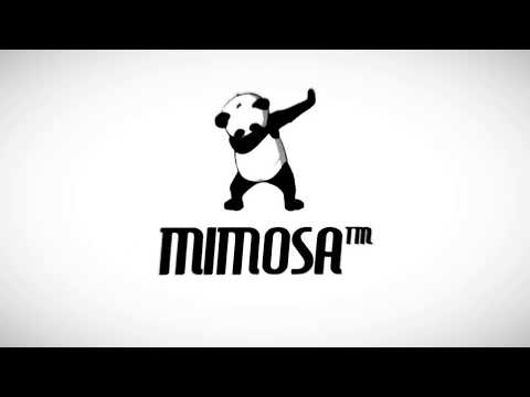 Intro do canal DEFINITIVA!!  Essa ficou F#D%  ‹Mimosa›