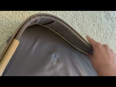 Baby Taylor Detailed Review (Watch Before Buying)