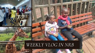 Weekly Vlog In Nairobi🇰🇪// My son's first time @giraffe Centre