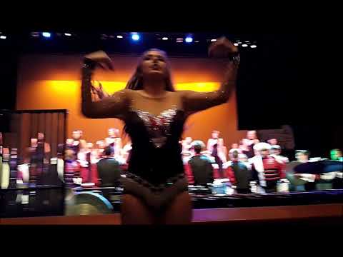 Niceville High School Eagle Pride Sounds of the Stadium 2017, HD Video, HD Audio